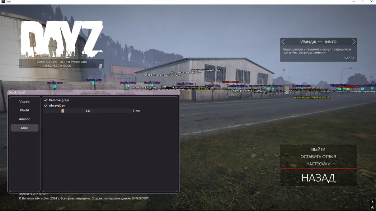 Quick — DayZ screenshot 4
